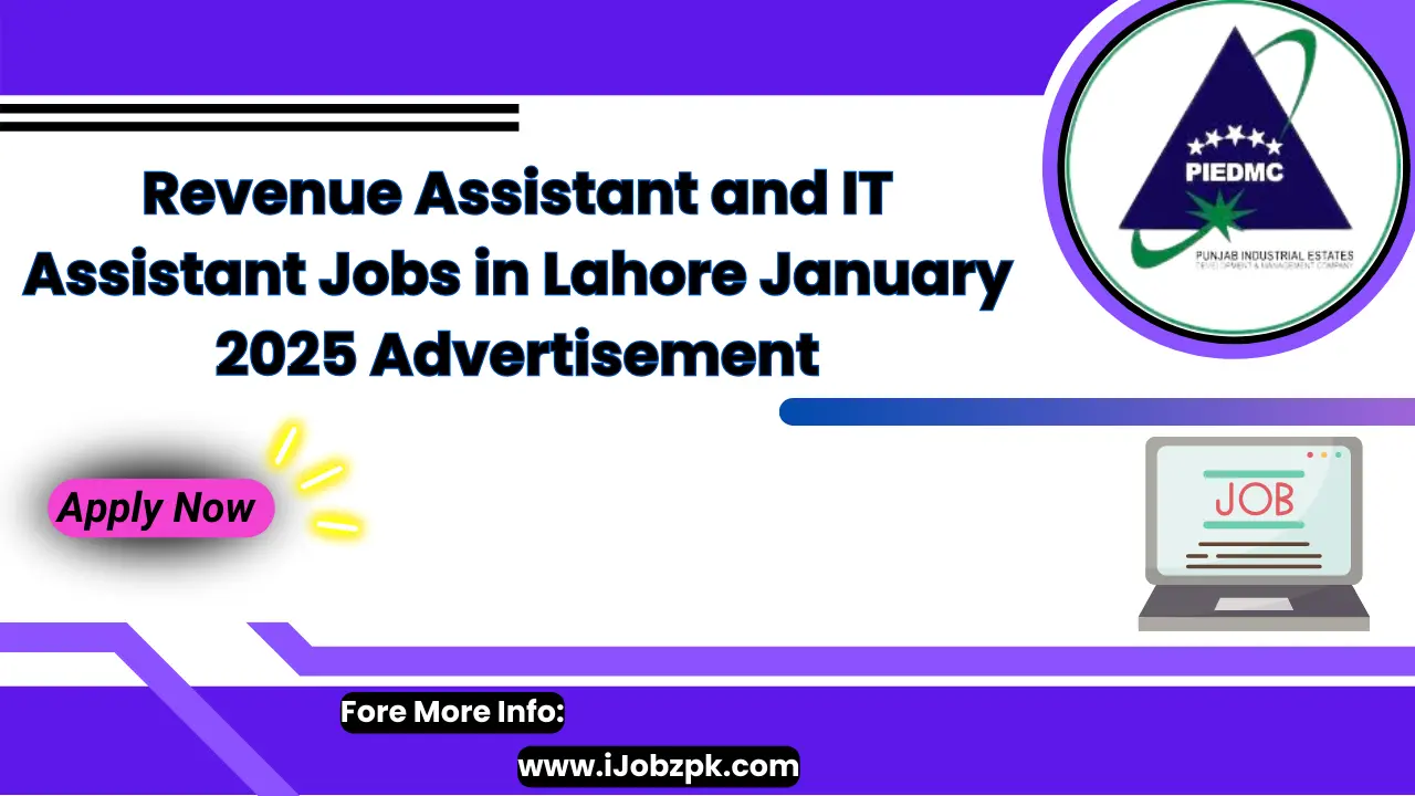 Revenue Assistant and IT Assistant Jobs in Lahore January 2025 Advertisement Apply Now