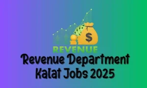 Revenue Department Kalat Jobs 2025
